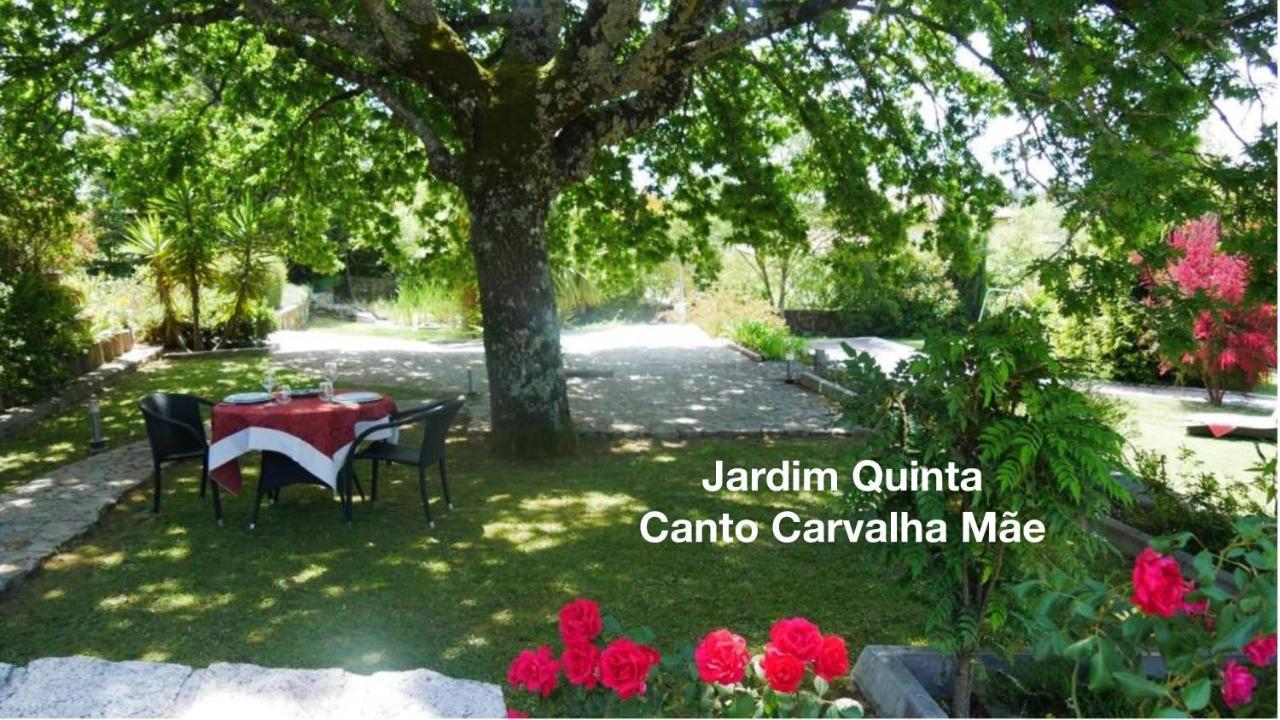 Quinta Monteluz Apartment Viseu Exterior photo