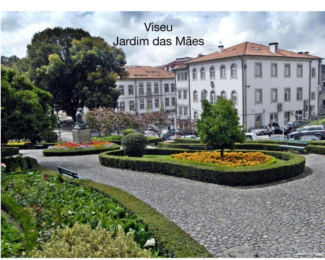 Quinta Monteluz Apartment Viseu Exterior photo